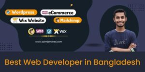 Best Web Developer in Bangladesh
